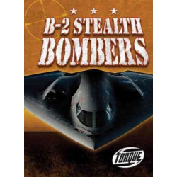 B-2 Stealth Bombers