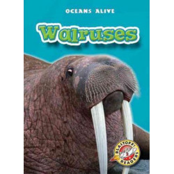 Walruses