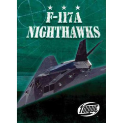 F-117A Nighthawks