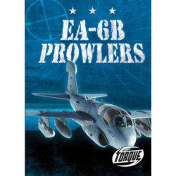 EA-6B Prowlers