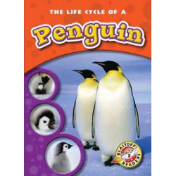 The Life Cycle of a Penguin