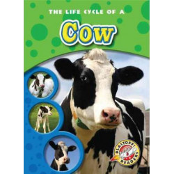 The Life Cycle of a Cow
