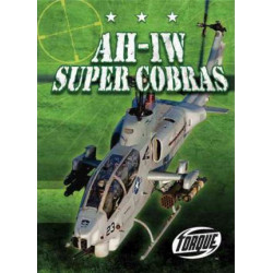 AH-1W Super Cobras