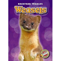 Weasels