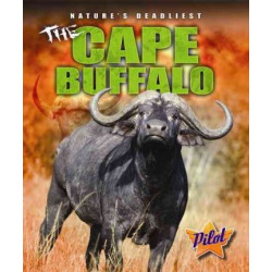 The Cape Buffalo
