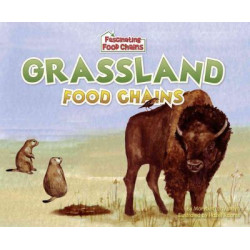 Grassland Food Chains