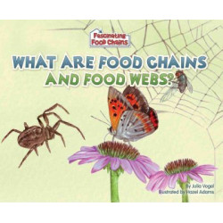 What are Food Chains and Food Webs?