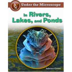 In Rivers, Lakes, and Ponds