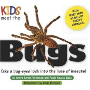 Kids Meet the Bugs