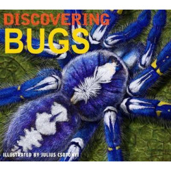 Discovering Bugs
