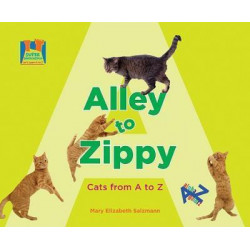 Alley to Zippy