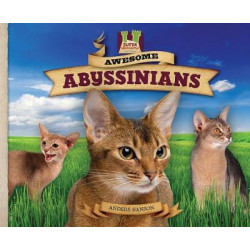 Awesome Abyssinians