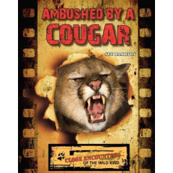 Ambushed by a Cougar