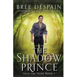 Into the Dark Book #1: The Shadow Prince