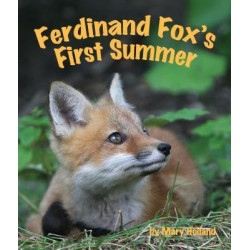 Ferdinand Fox's First Summer