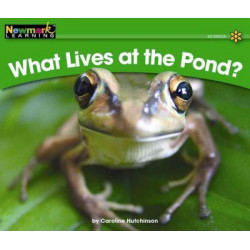 What Lives at the Pond?