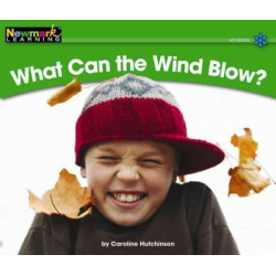 What Can the Wind Blow?