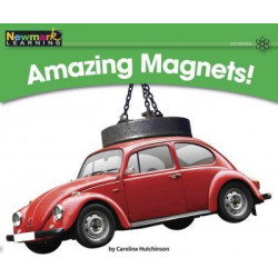 Amazing Magnets
