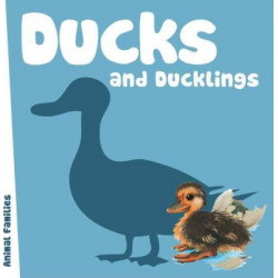 Ducks and Ducklings