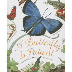 A Butterfly Is Patient