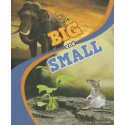 Animals Big and Small