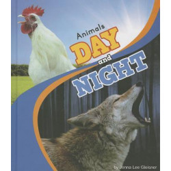 Animals Day and Night