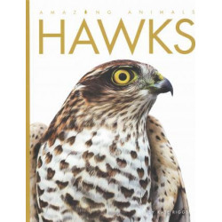 Amazing Animals Hawks