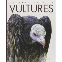 Amazing Animals Vultures