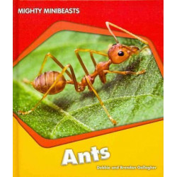 Us Myl Mmb Ants (Mc)
