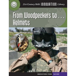 From Woodpeckers To... Helmets