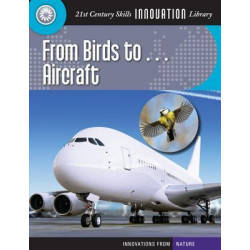 From Birds To... Aircraft