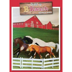 Horses on B Ranch
