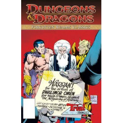 Dungeons & Dragons: Forgotten Realms Classics: v. 2