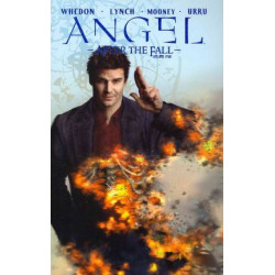 Angel After The Fall Volume 4
