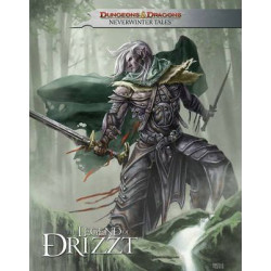 Dungeons & Dragons: The Legend of Drizzt - Neverwinter Tales