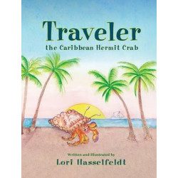 Traveler, the Caribbean Hermit Crab
