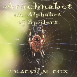 Arachnabet- An Alphabet of Spiders