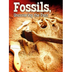Fossils, Uncovering the Past