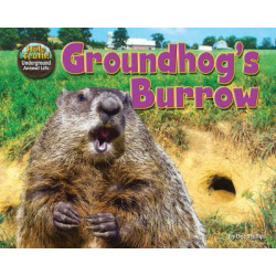 Groundhog's Burrow