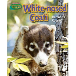 White-Nosed Coati