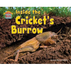 Inside the Cricket's Burrow