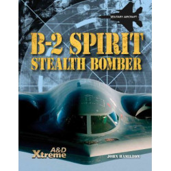 B-2 Spirit Stealth Bomber