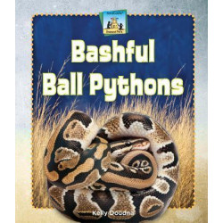 Bashful Ball Pythons