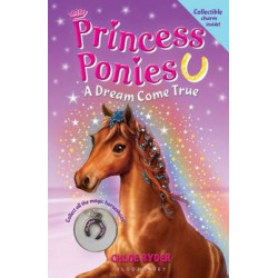 Princess Ponies: A Dream Come True