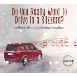 Do You Really Want to Drive in a Blizzard?