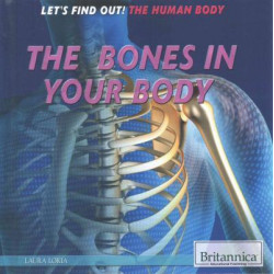 Bones in Your Body