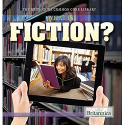 What Is Fiction?
