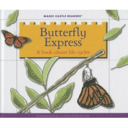 Butterfly Express