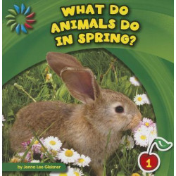 What Do Animals Do in Spring?
