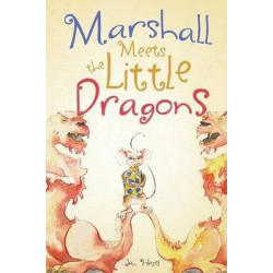 Marshall Meets the Little Dragons